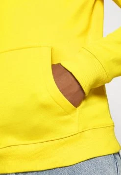 Sergio Tacchini TOMASSO HOODIE - Sweatshirt - Slicker -Sergio Tacchini Sales ed438e3c0fd24265a4c9ae907fafd7b3